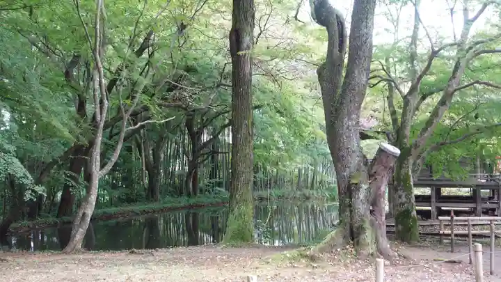 白山神社(岩手県)