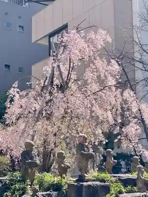 頂法寺（六角堂）(京都府)