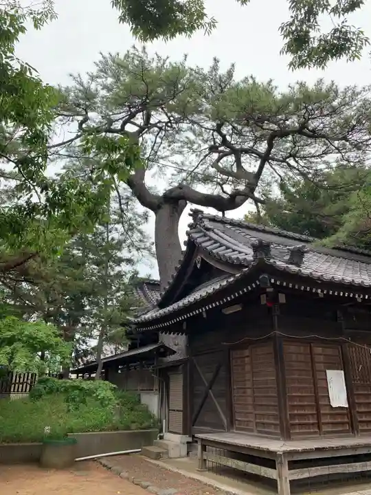 葛飾神社(千葉県)