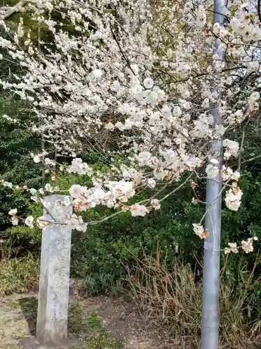 下野 星宮神社(栃木県)