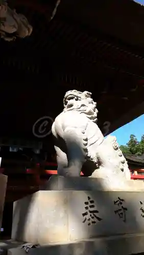 出羽神社(出羽三山神社)～三神合祭殿～の狛犬