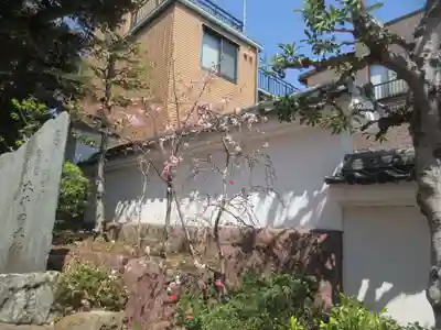 養玉院如来寺(東京都)