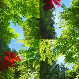 滑川神社 - 仕事と子どもの守り神の自然(2020年05月08日(金) 17時02分45秒投稿)