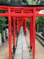 根津神社の鳥居