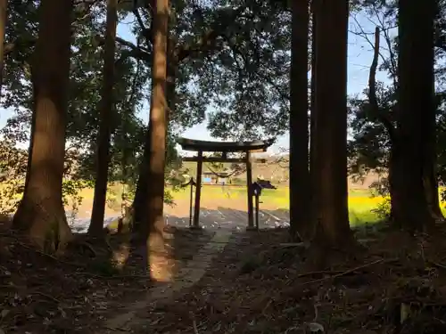 白山神社の鳥居