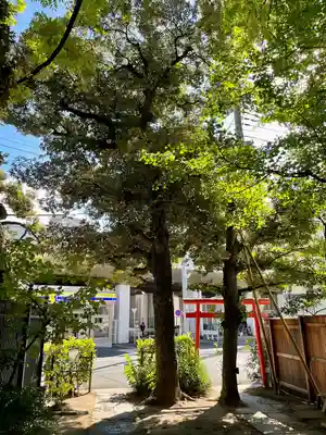 見性寺(東京都)