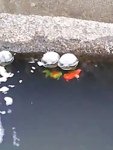 大鏑神社の手水舎