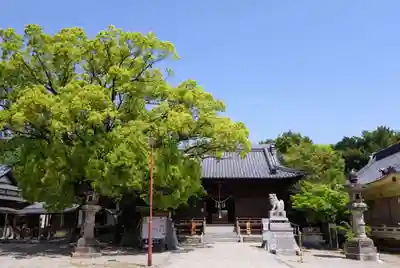 愛知県高浜市春日神社(愛知県)