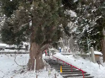 御座石神社の自然