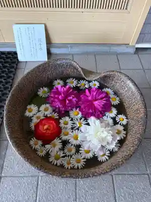 美瑛神社の手水舎