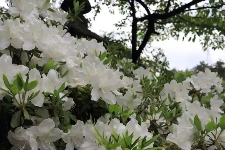 鹿島大神宮の庭園