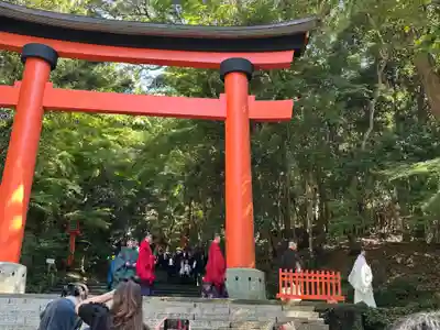 宇佐神宮(大分県)