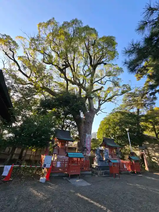 長田神社の{uncategorized: "未分類", other: "その他", undefined: "問題あり", building: "その他建物", grave: "お墓", sacred_gate: "鳥居", guardian: "狛犬", statue: "像", buddha: "仏像", history: "歴史", nature: "自然", garden: "庭園", animal: "動物", pagoda: "塔", temizu: "手水舎", mountain_gate: "山門・神門", sanctuary: "本殿・本堂", subordinate: "末社・摂社", art: "芸術", scenery: "景色", jizo: "地蔵", ema: "絵馬", goshuin: "御朱印", omikuji: "おみくじ", items: "授与品その他", amulet: "お守り", goshuincho: "御朱印帳", eats: "食事", festival: "お祭り", votive_dance: "神楽", shichigosan: "七五三参", wedding: "結婚式", experience: "体験その他", initially: "初詣", around: "周辺", anti_infection: "感染症対策"}