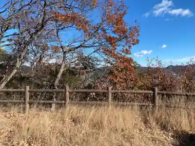 足利織姫神社(栃木県)