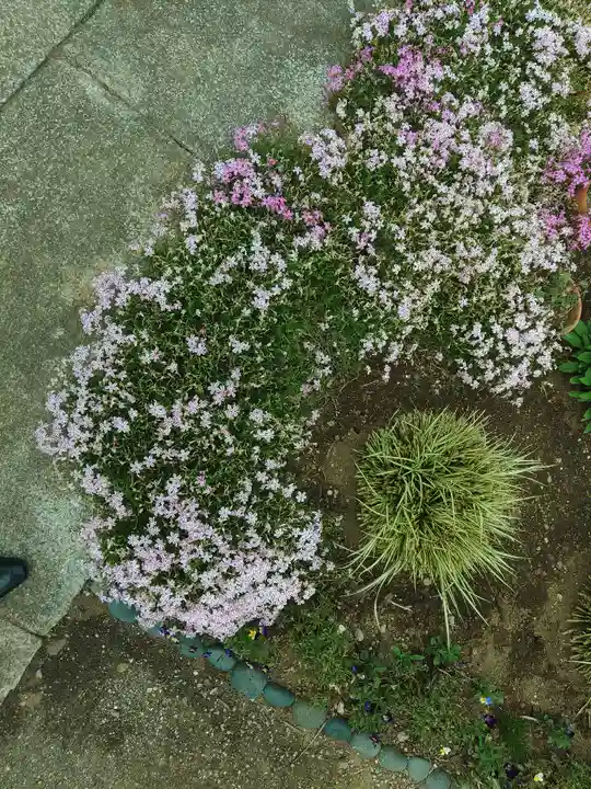 神道大教大和八幡神社(千葉県)