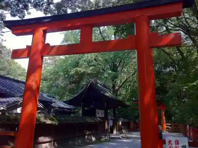 賀茂御祖神社(下鴨神社)の鳥居