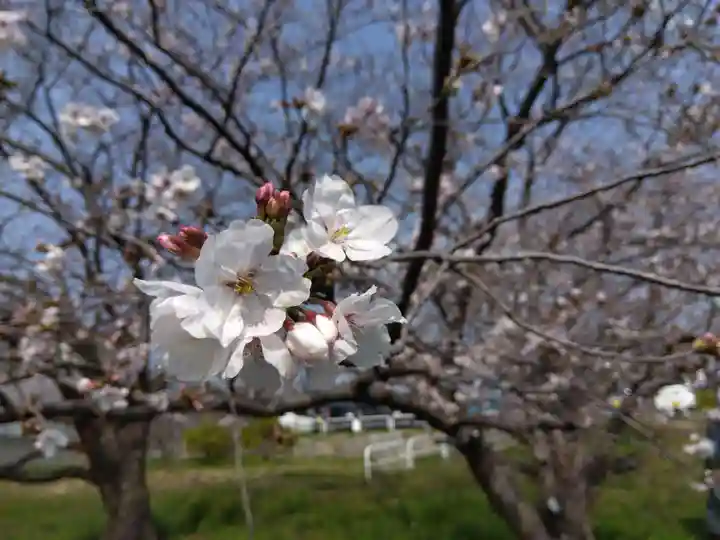 菟足神社(愛知県)
