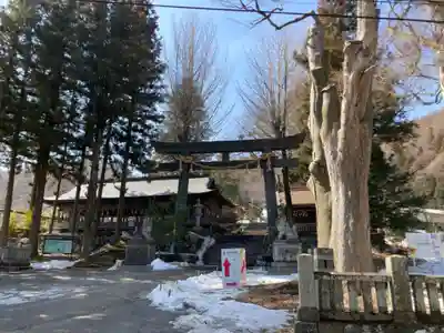 諏訪大社上社前宮の鳥居