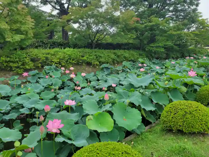 東寺(教王護国寺)の庭園
