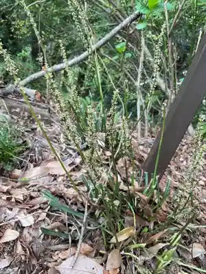 日龍峯寺(高澤観音)(美濃清水)(岐阜県)