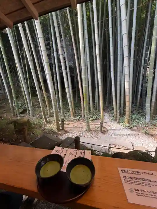 報国寺(神奈川県)