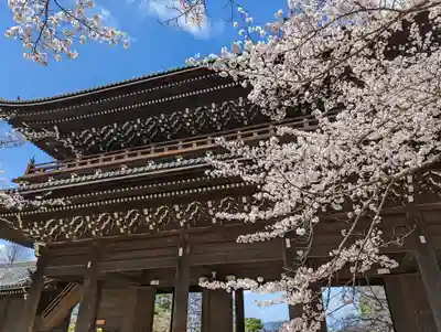知恩院(京都府)