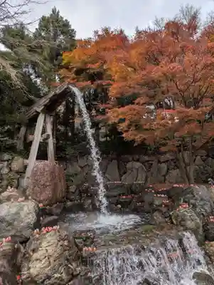 勝尾寺(大阪府)