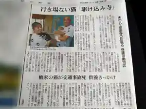 天王山 安楽寺(福井県)(2024年06月18日(火) 15時50分40秒投稿)