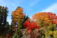 田村神社の景色