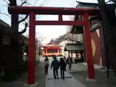 花園神社の鳥居