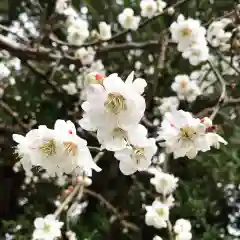 豊景神社の自然