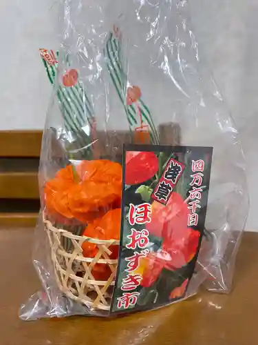 浅草寺(東京都)