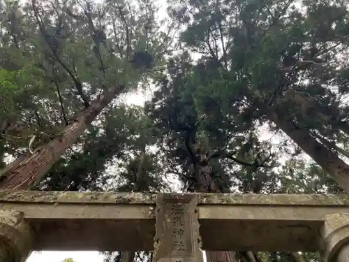 大宮温泉神社(栃木県)