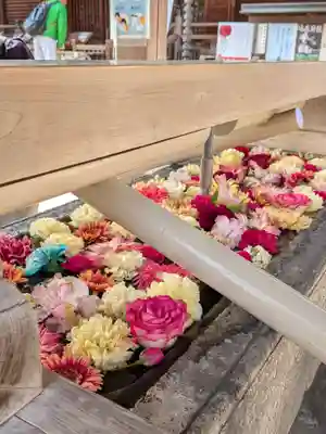 鳩森八幡神社(東京都)