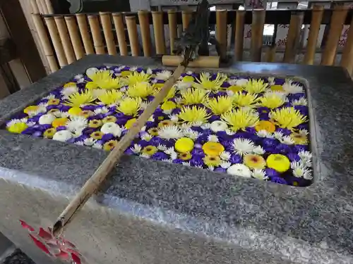 高円寺氷川神社の手水