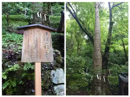 貴船神社奥宮(京都府)