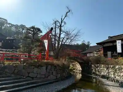 賀茂御祖神社（下鴨神社）の{uncategorized: "未分類", other: "その他", undefined: "問題あり", building: "その他建物", grave: "お墓", sacred_gate: "鳥居", guardian: "狛犬", statue: "像", buddha: "仏像", history: "歴史", nature: "自然", garden: "庭園", animal: "動物", pagoda: "塔", temizu: "手水舎", mountain_gate: "山門・神門", sanctuary: "本殿・本堂", subordinate: "末社・摂社", art: "芸術", scenery: "景色", jizo: "地蔵", ema: "絵馬", goshuin: "御朱印", omikuji: "おみくじ", items: "授与品その他", amulet: "お守り", goshuincho: "御朱印帳", eats: "食事", festival: "お祭り", votive_dance: "神楽", shichigosan: "七五三参", wedding: "結婚式", experience: "体験その他", initially: "初詣", around: "周辺", anti_infection: "感染症対策"}