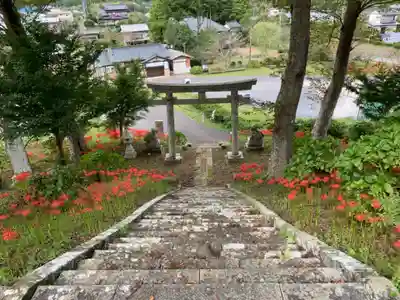 八幡神社の鳥居