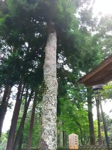 日吉大社(滋賀県)