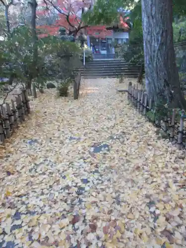 安國論寺（安国論寺）の景色