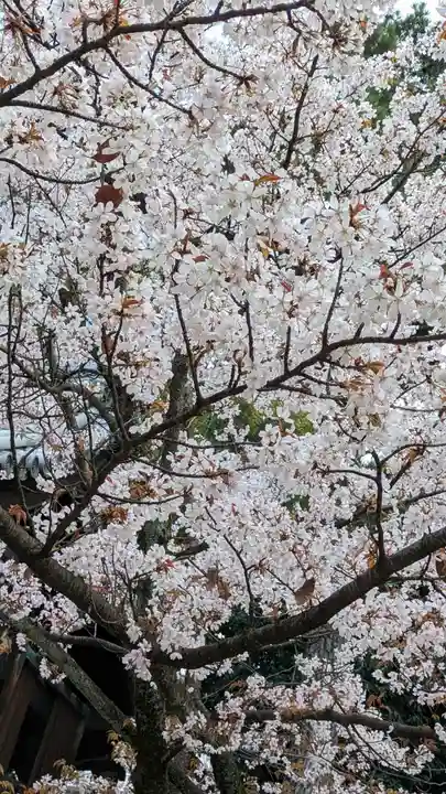 御香宮神社(京都府)