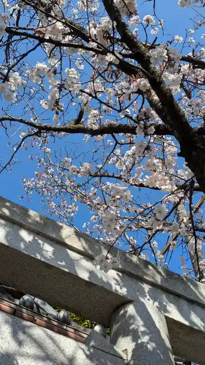 妙雲院(京都府)