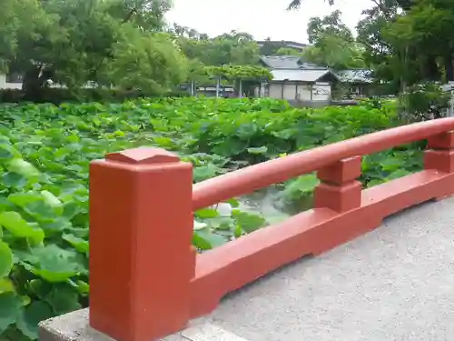 鶴岡八幡宮のその他建物