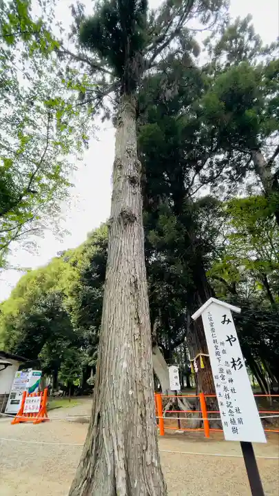 息栖神社の自然