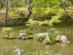 西芳寺の庭園