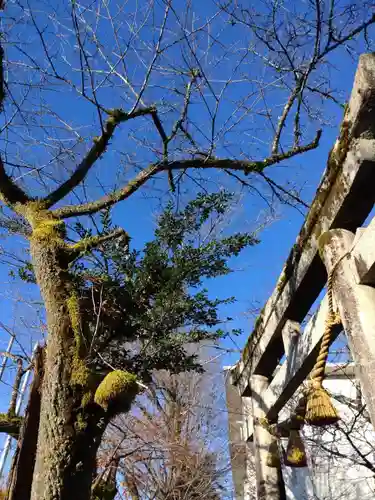 天鷹神社(岐阜県)