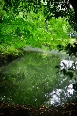 伊雜宮（皇大神宮別宮）(三重県)