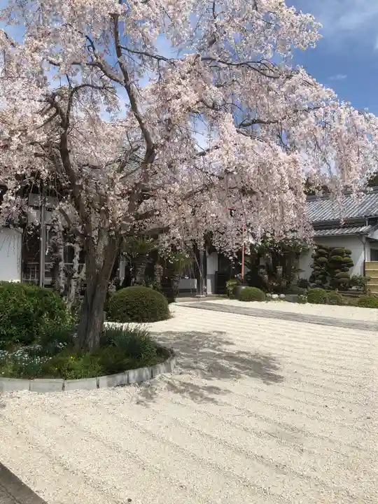 桂岩寺(愛知県)