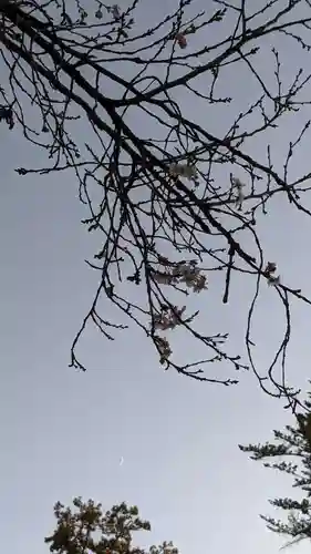 八事山 興正寺の自然