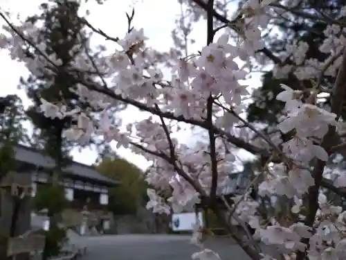 伊太祁曽神社の{uncategorized: "未分類", other: "その他", undefined: "問題あり", building: "その他建物", grave: "お墓", sacred_gate: "鳥居", guardian: "狛犬", statue: "像", buddha: "仏像", history: "歴史", nature: "自然", garden: "庭園", animal: "動物", pagoda: "塔", temizu: "手水舎", mountain_gate: "山門・神門", sanctuary: "本殿・本堂", subordinate: "末社・摂社", art: "芸術", scenery: "景色", jizo: "地蔵", ema: "絵馬", goshuin: "御朱印", omikuji: "おみくじ", items: "授与品その他", amulet: "お守り", goshuincho: "御朱印帳", eats: "食事", festival: "お祭り", votive_dance: "神楽", shichigosan: "七五三参", wedding: "結婚式", experience: "体験その他", initially: "初詣", around: "周辺", anti_infection: "感染症対策"}